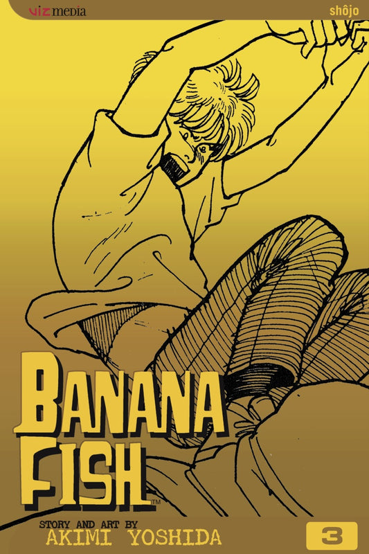 Banana Fish Vol 3