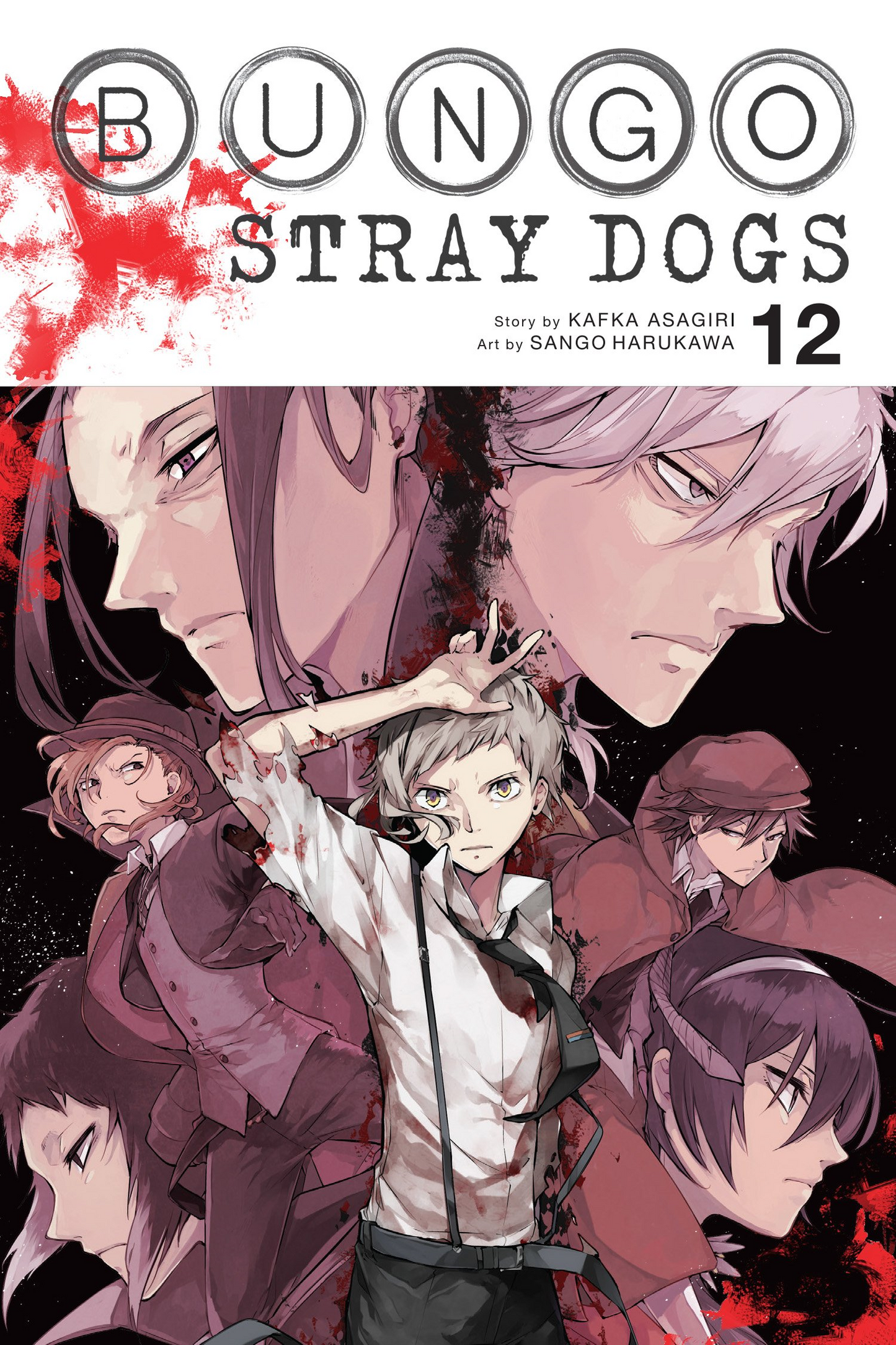 Bungo Stray Dogs Vol 12