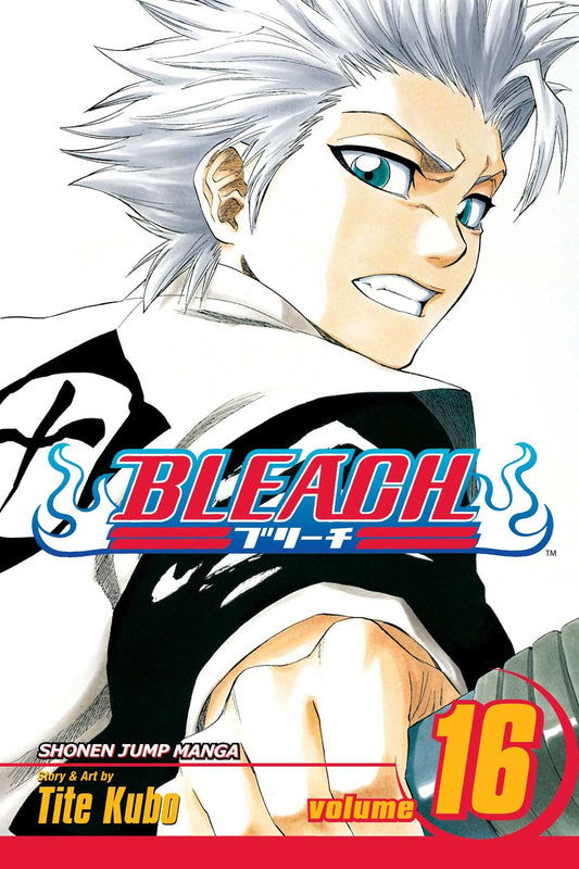 Bleach 16