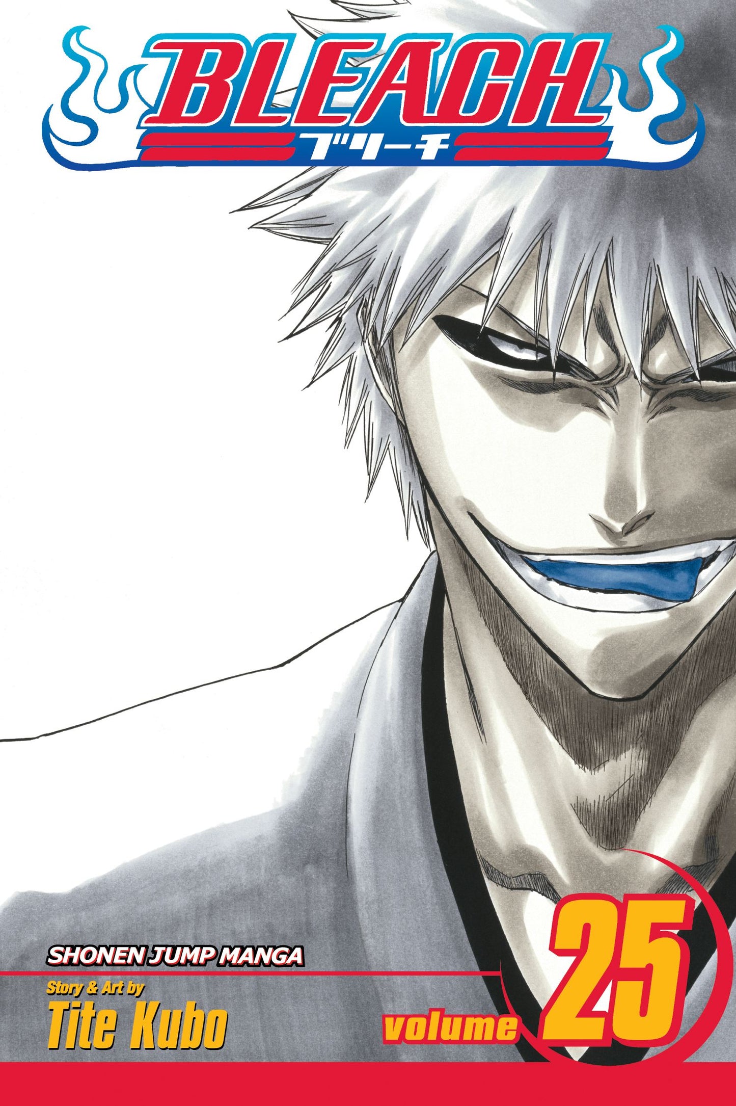 Bleach 25