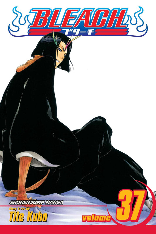 Bleach 37